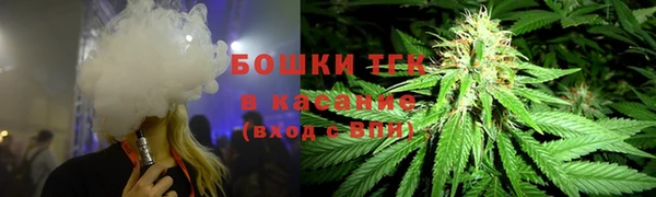 гашик Богородицк