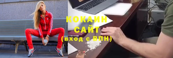 молекула духа Богородск