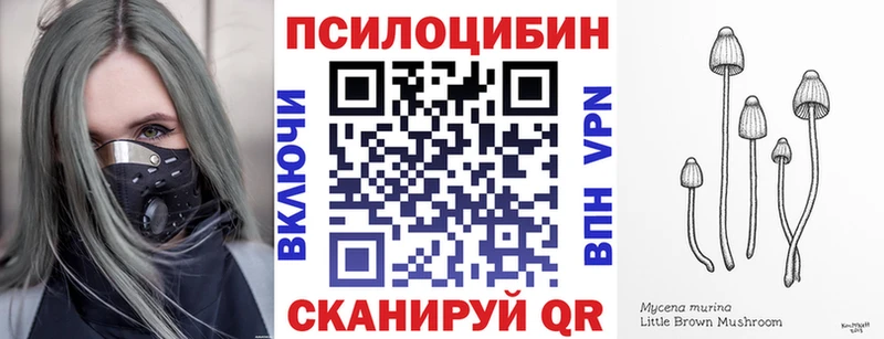 хочу   Вичуга  Псилоцибиновые грибы мухоморы 