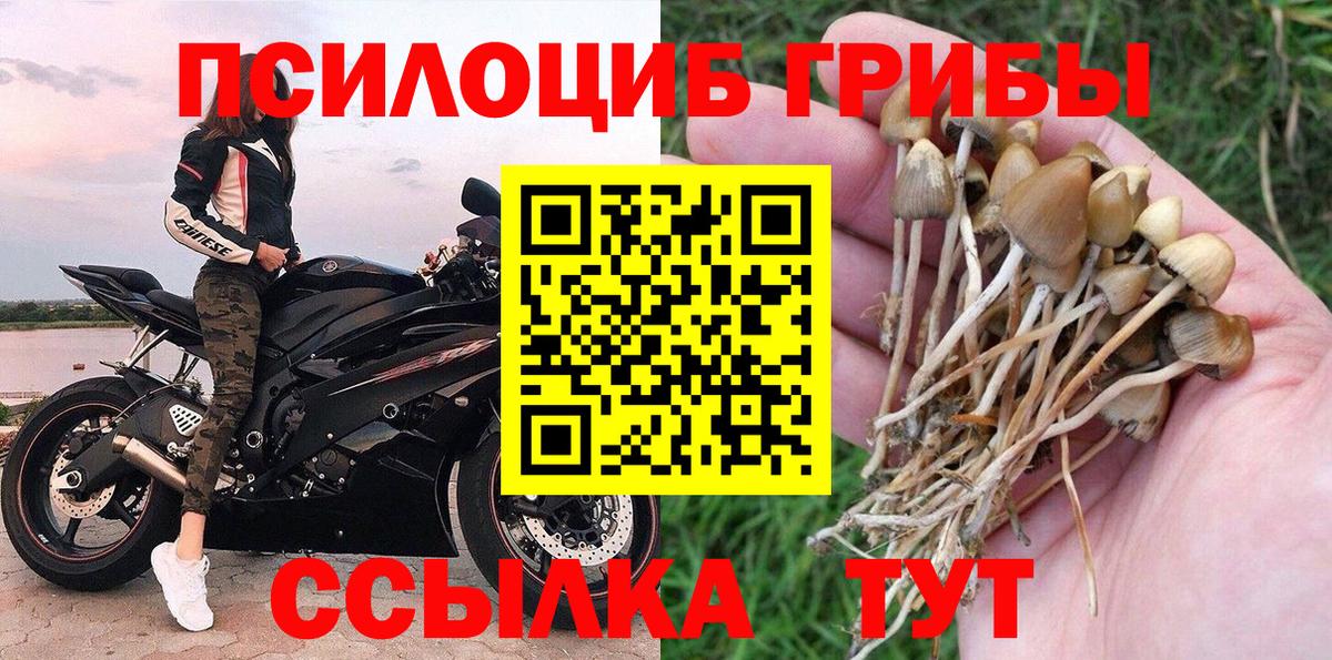 Галлюциногенные грибы прущие грибы  Псилоцибиновые грибы MAGIC MUSHROOMS  Вход с VPN  Вичуга 