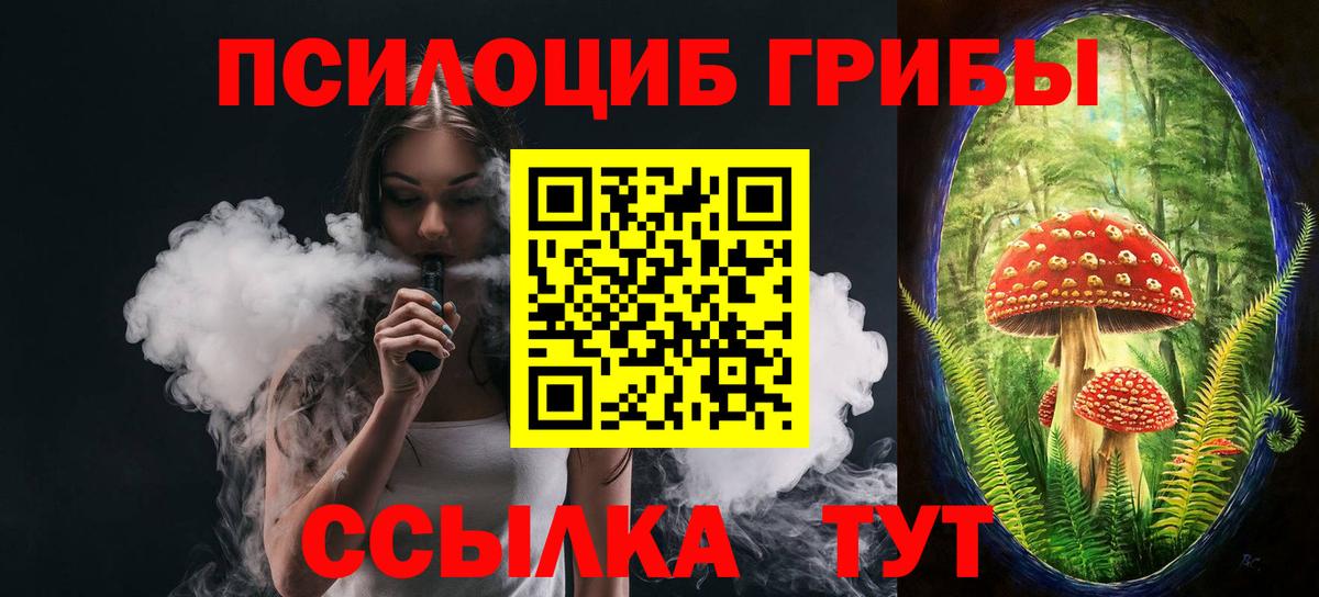Псилоцибиновые грибы MAGIC MUSHROOMS Вичуга